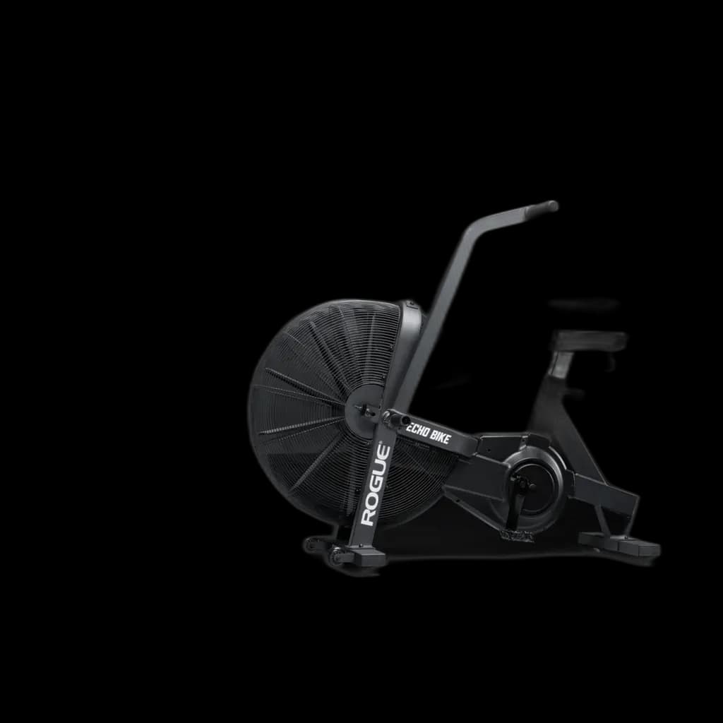 Rogue Echo Bike