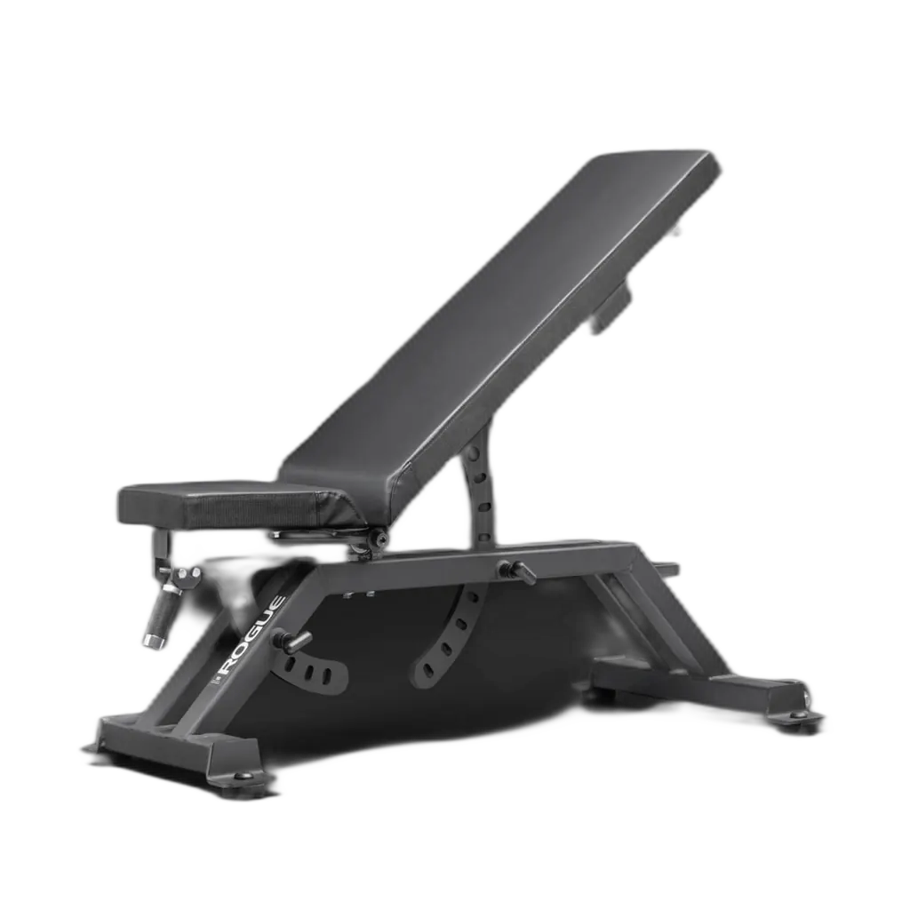 Rogue Fitness Rogue AB-3 product photo