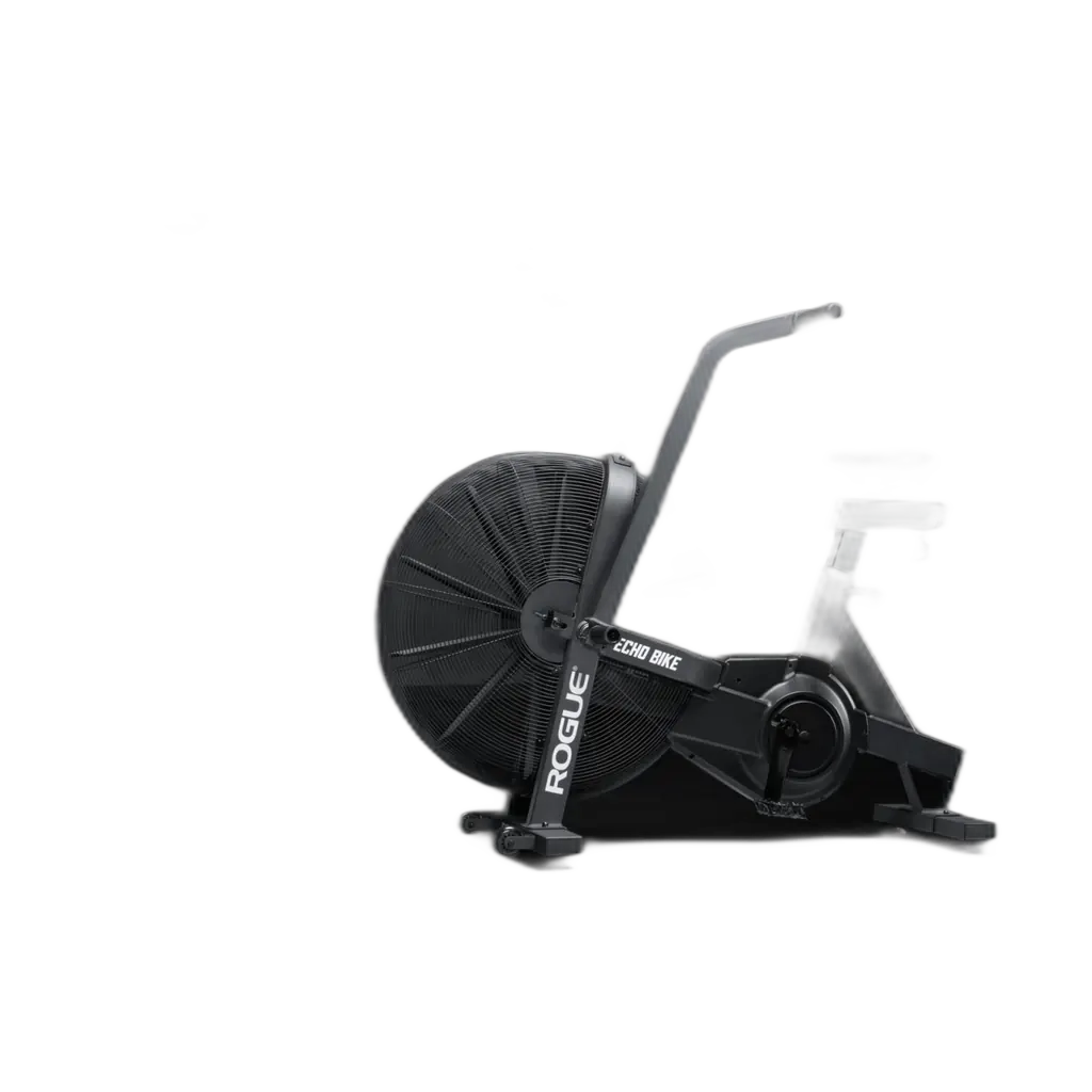 Rogue Rogue Echo Bike product photo
