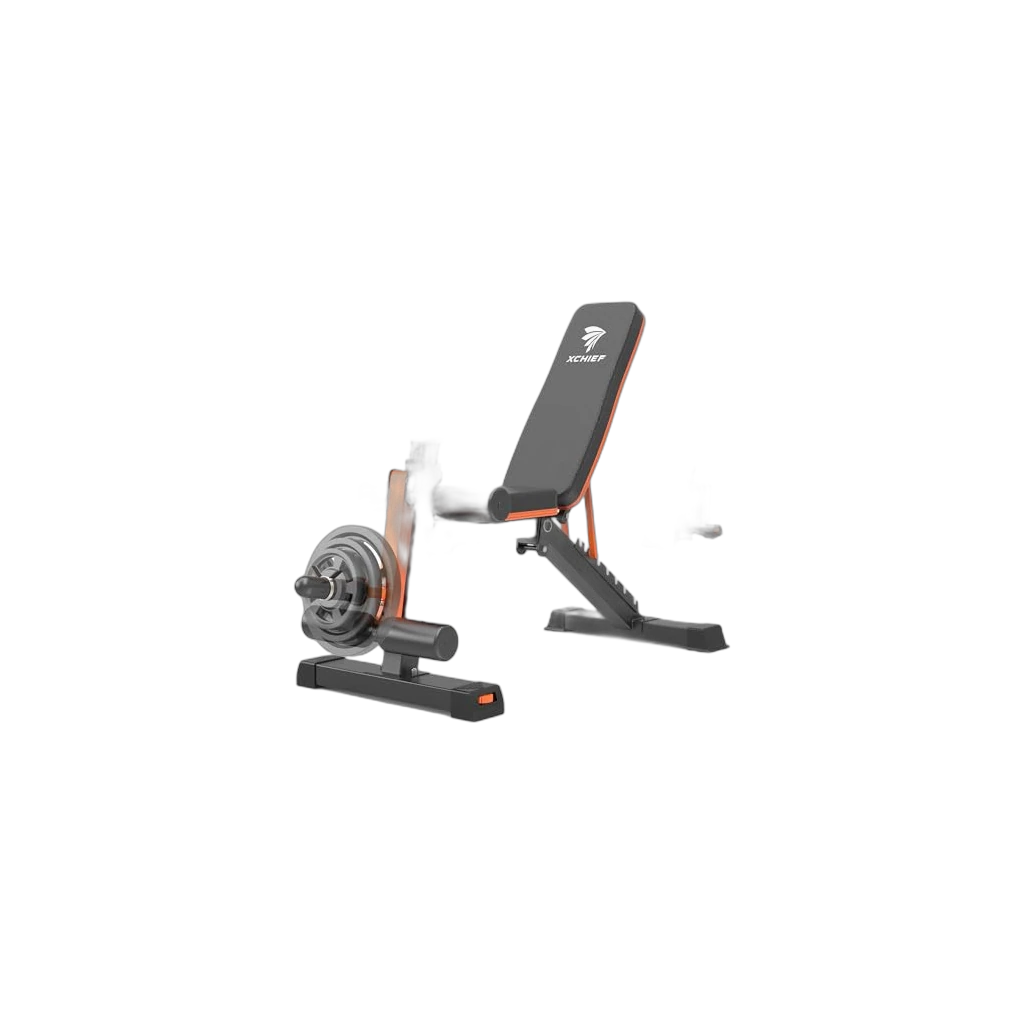 XCHIEF XCHIEF Bench with Leg Extension & Preacher Pad product photo